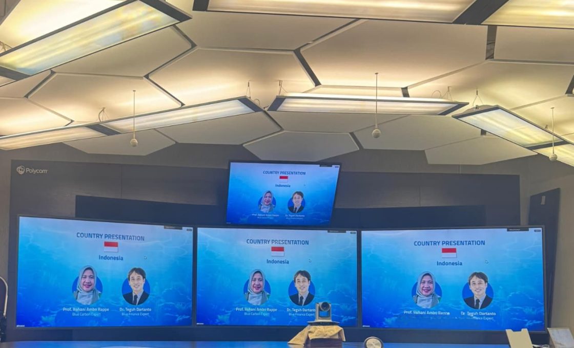 Potensi Besar Karbon Biru Lamun Indonesia Terjepit Ancaman Degradasi dan Pembiayaan